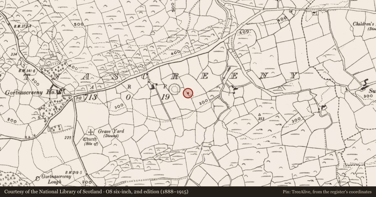 Ordnance Survey six-inch map, 2nd edition (1888–1915) covering the location of Earthwork, Gortnascreeny, County Cork, with a pin at the register's coordinates