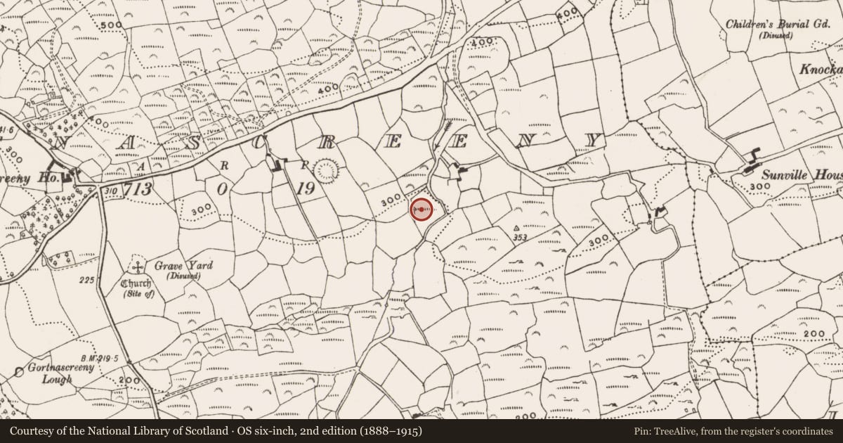 Ordnance Survey six-inch map, 2nd edition (1888–1915) covering the location of Fulacht fia, Gortnascreeny, County Cork, with a pin at the register's coordinates