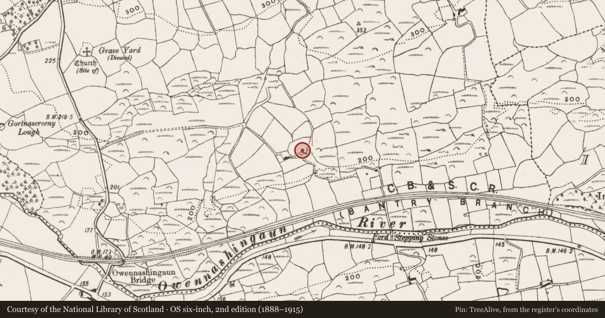 Ordnance Survey six-inch map, 2nd edition (1888–1915) covering the location of Fulacht fia, Gortnascreeny, County Cork, with a pin at the register's coordinates