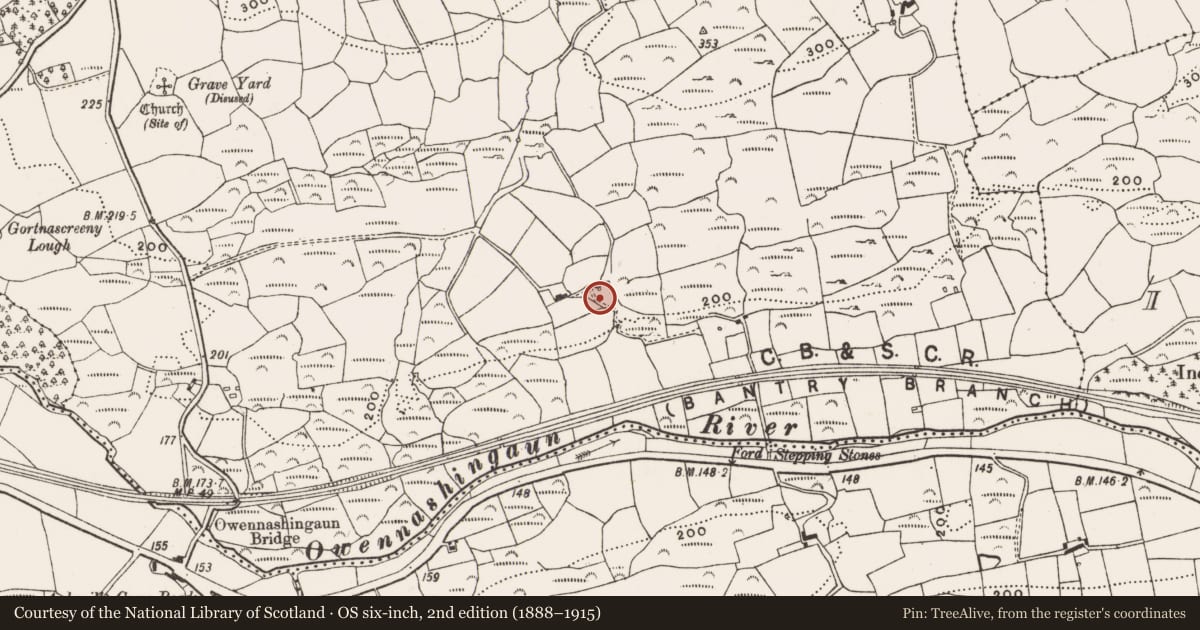 Ordnance Survey six-inch map, 2nd edition (1888–1915) covering the location of Fulacht fia, Gortnascreeny, County Cork, with a pin at the register's coordinates