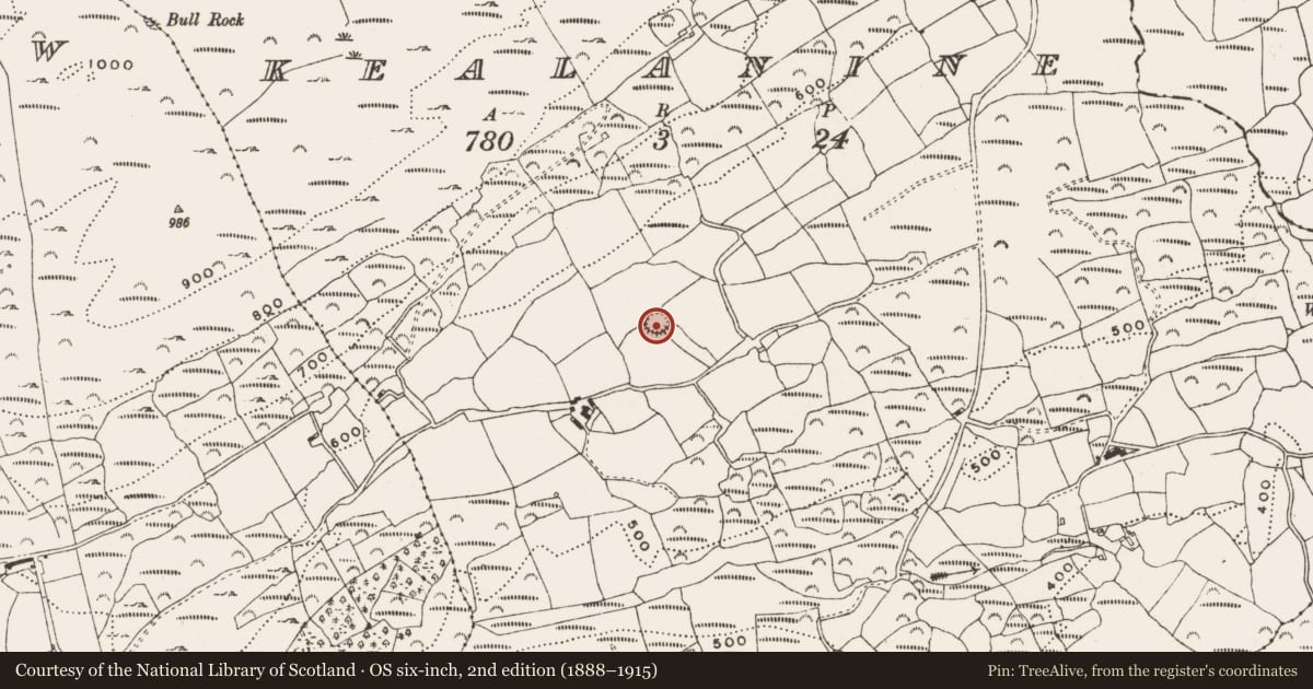 Ordnance Survey six-inch map, 2nd edition (1888–1915) covering the location of Ringfort - rath, Kealanine, County Cork, with a pin at the register's coordinates