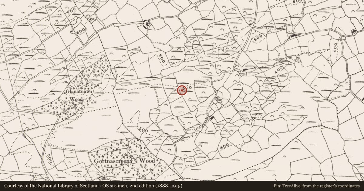 Ordnance Survey six-inch map, 2nd edition (1888–1915) covering the location of Megalithic tomb - wedge tomb, Kealanine, County Cork, with a pin at the register's coordinates