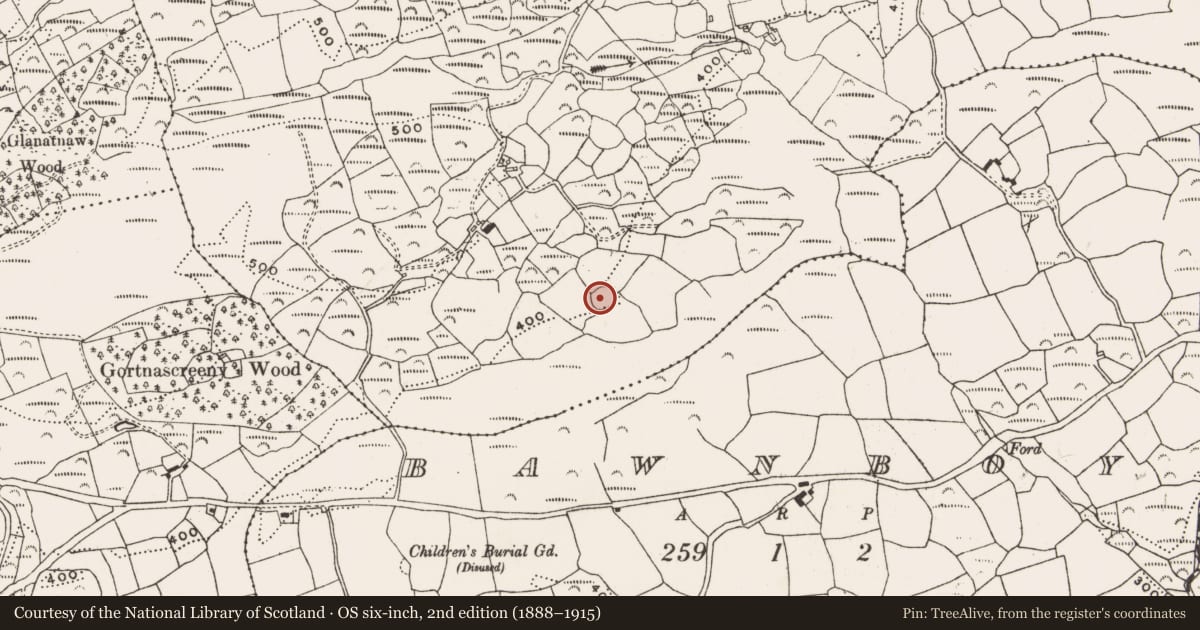 Ordnance Survey six-inch map, 2nd edition (1888–1915) covering the location of Ringfort - cashel, Kealanine, County Cork, with a pin at the register's coordinates