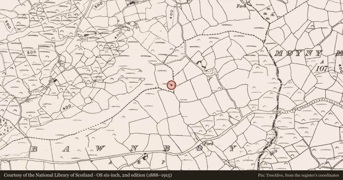 Ordnance Survey six-inch map, 2nd edition (1888–1915) covering the location of Fulacht fia, Kealanine, County Cork, with a pin at the register's coordinates