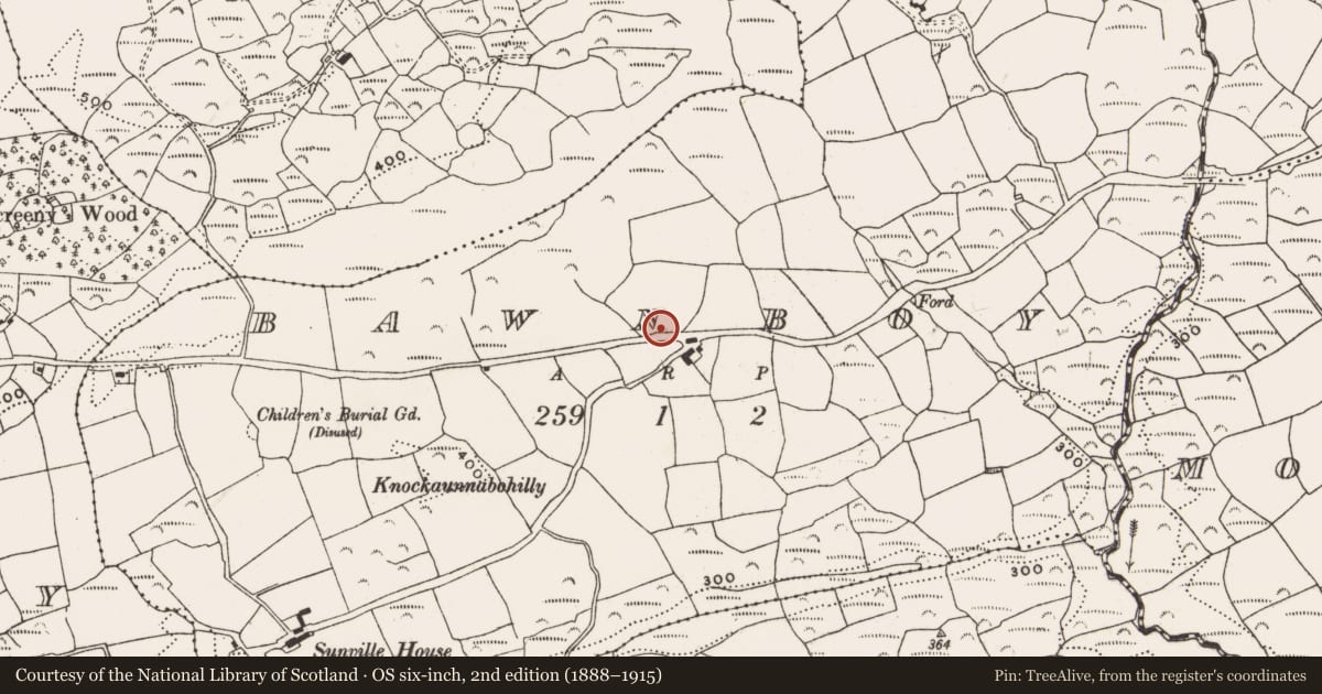 Ordnance Survey six-inch map, 2nd edition (1888–1915) covering the location of Ringfort - rath, Bawnboy, County Cork, with a pin at the register's coordinates