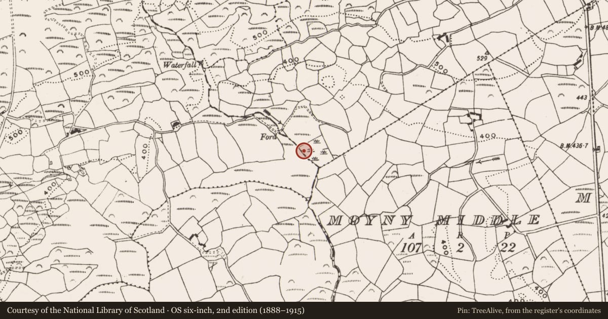 Ordnance Survey six-inch map, 2nd edition (1888–1915) covering the location of Fulacht fia, Moyny Upper, County Cork, with a pin at the register's coordinates