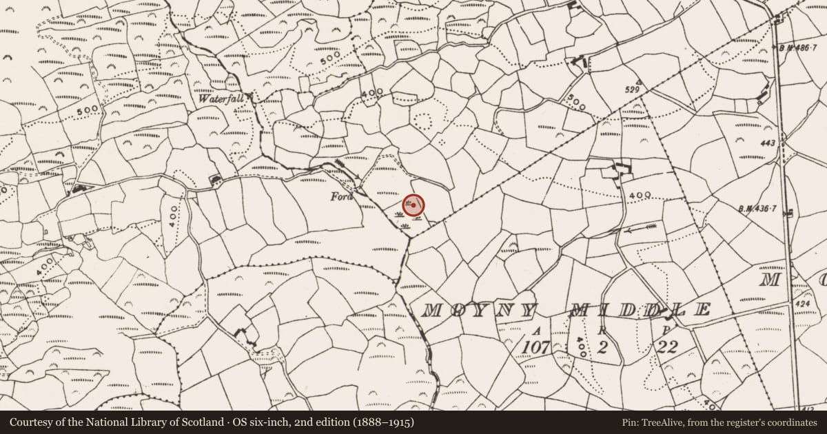 Ordnance Survey six-inch map, 2nd edition (1888–1915) covering the location of Fulacht fia, Moyny Upper, County Cork, with a pin at the register's coordinates