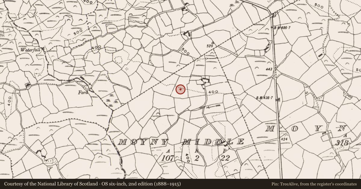 Ordnance Survey six-inch map, 2nd edition (1888–1915) covering the location of Standing stone, Moyny Middle, County Cork, with a pin at the register's coordinates