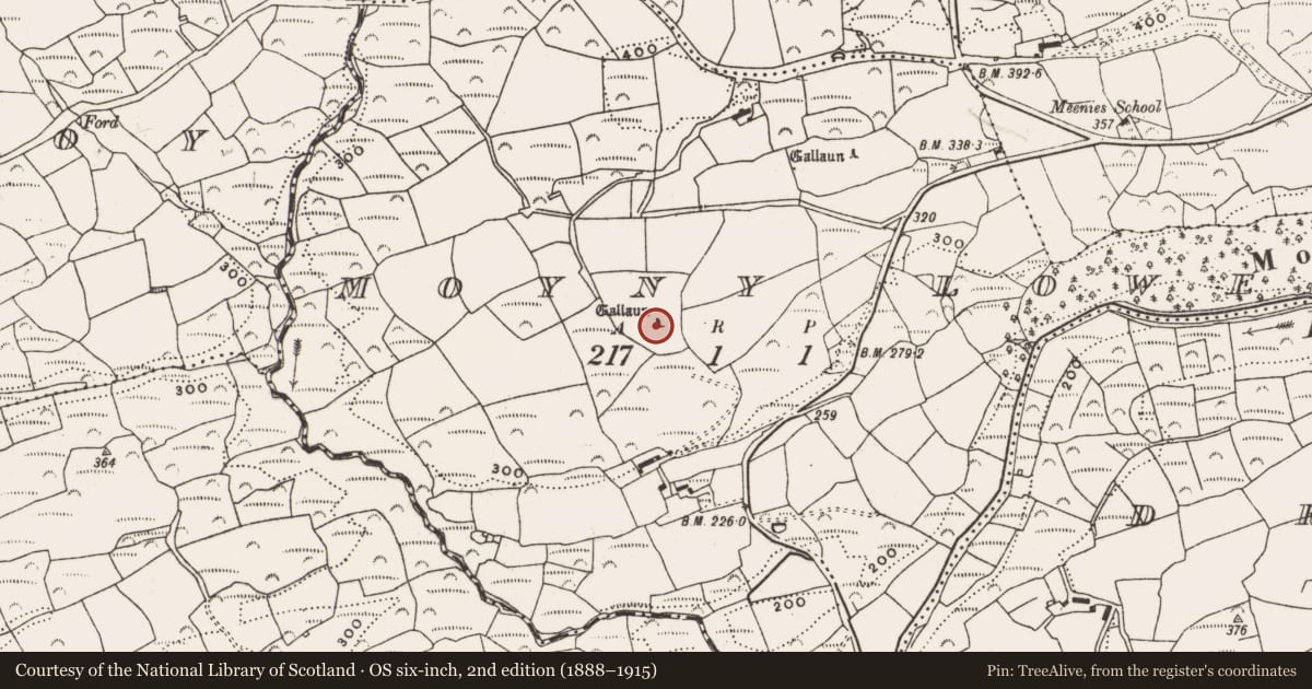Ordnance Survey six-inch map, 2nd edition (1888–1915) covering the location of Standing stone, Moyny Lower, County Cork, with a pin at the register's coordinates