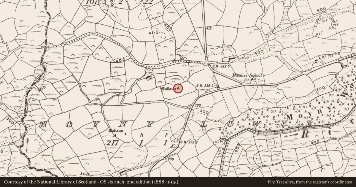 Ordnance Survey six-inch map, 2nd edition (1888–1915) covering the location of Standing stone, Moyny Lower, County Cork, with a pin at the register's coordinates