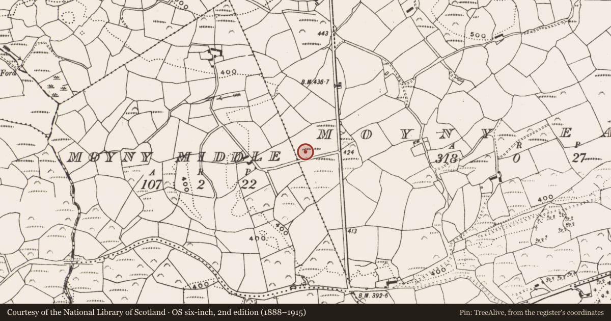Ordnance Survey six-inch map, 2nd edition (1888–1915) covering the location of Fulacht fia, Moyny East, County Cork, with a pin at the register's coordinates