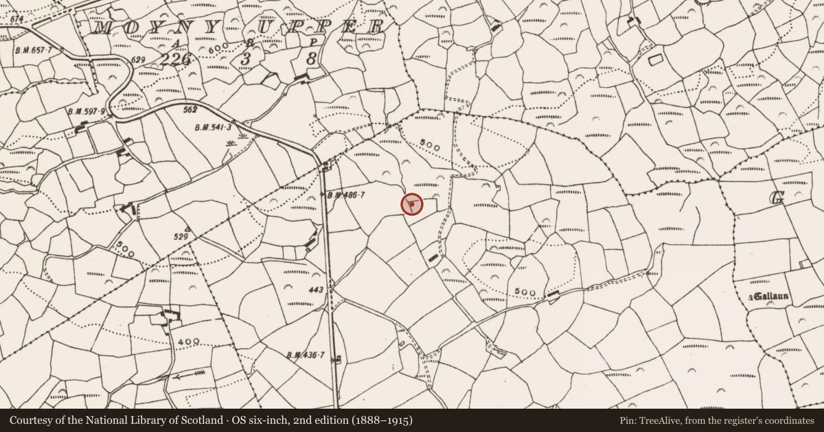 Ordnance Survey six-inch map, 2nd edition (1888–1915) covering the location of Fulacht fia, Moyny East, County Cork, with a pin at the register's coordinates