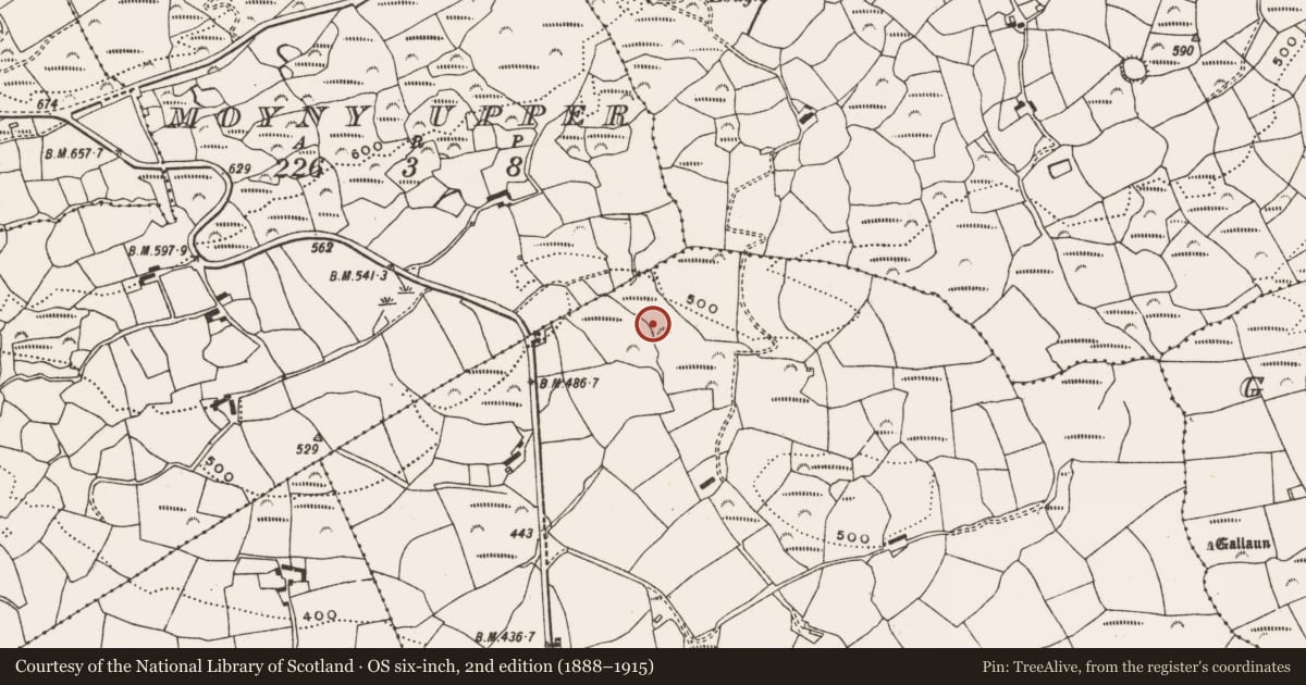 Ordnance Survey six-inch map, 2nd edition (1888–1915) covering the location of Fulacht fia, Moyny East, County Cork, with a pin at the register's coordinates