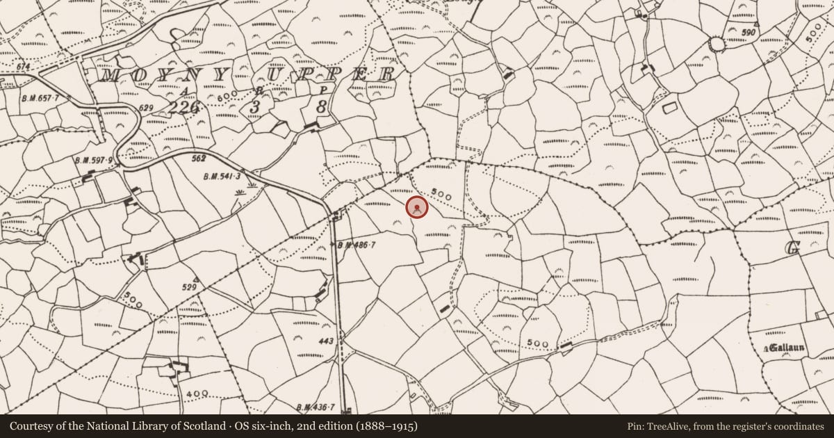 Ordnance Survey six-inch map, 2nd edition (1888–1915) covering the location of Fulacht fia, Moyny East, County Cork, with a pin at the register's coordinates