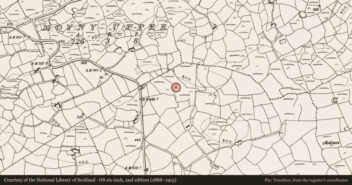 Ordnance Survey six-inch map, 2nd edition (1888–1915) covering the location of Fulacht fia, Moyny East, County Cork, with a pin at the register's coordinates