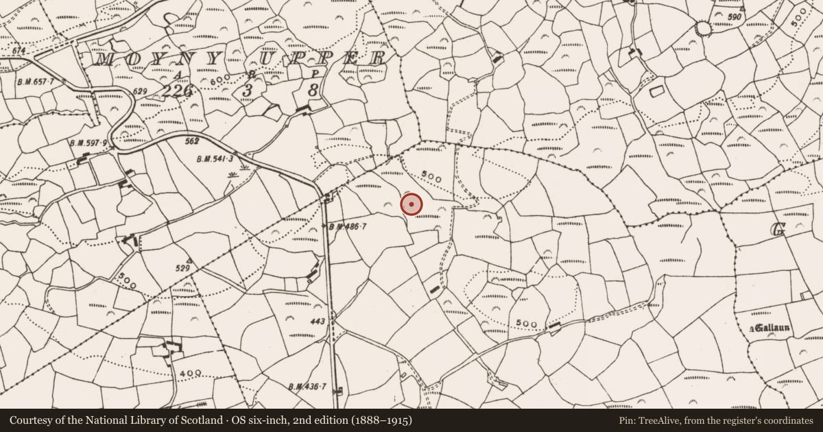 Ordnance Survey six-inch map, 2nd edition (1888–1915) covering the location of Fulacht fia, Moyny East, County Cork, with a pin at the register's coordinates