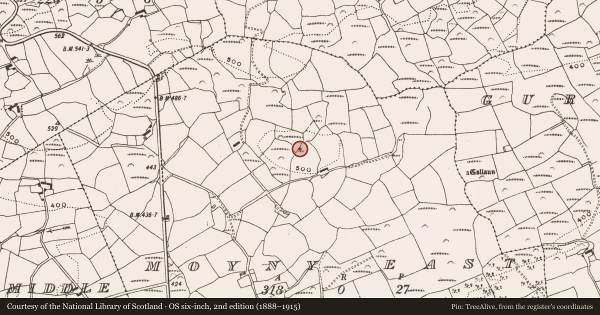 Ordnance Survey six-inch map, 2nd edition (1888–1915) covering the location of Ringfort - rath, Moyny East, County Cork, with a pin at the register's coordinates