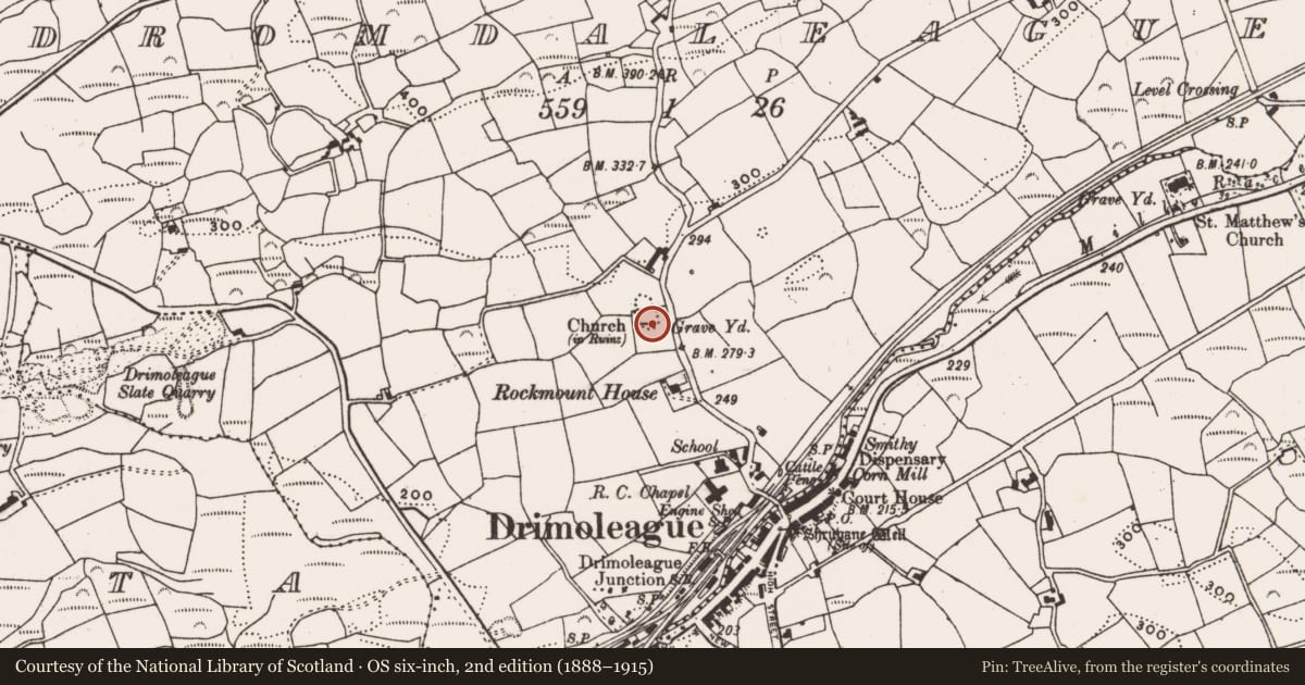 Ordnance Survey six-inch map, 2nd edition (1888–1915) covering the location of Graveyard, Dromdaleague, County Cork, with a pin at the register's coordinates