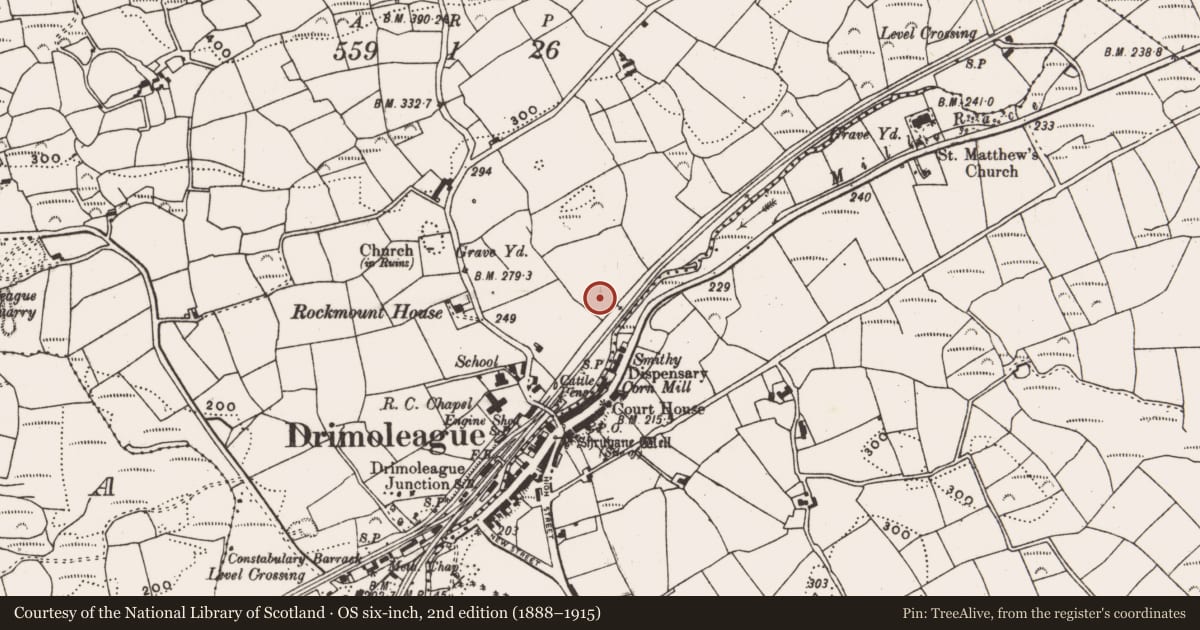 Ordnance Survey six-inch map, 2nd edition (1888–1915) covering the location of Fulacht fia, Dromdaleague, County Cork, with a pin at the register's coordinates