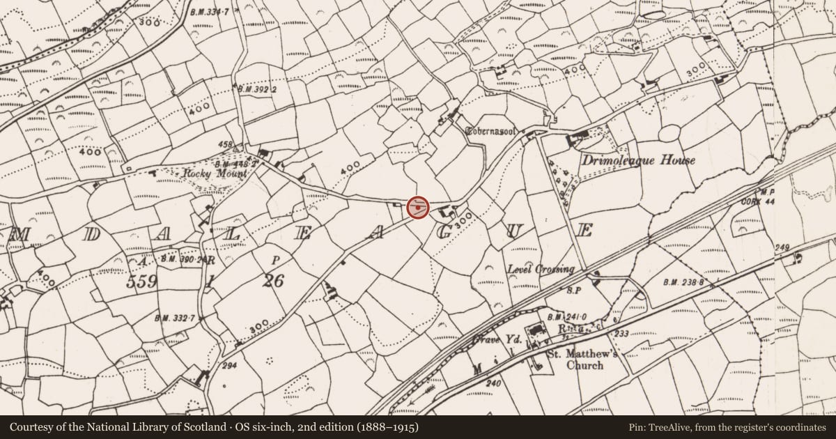 Ordnance Survey six-inch map, 2nd edition (1888–1915) covering the location of Standing stone, Dromdaleague, County Cork, with a pin at the register's coordinates