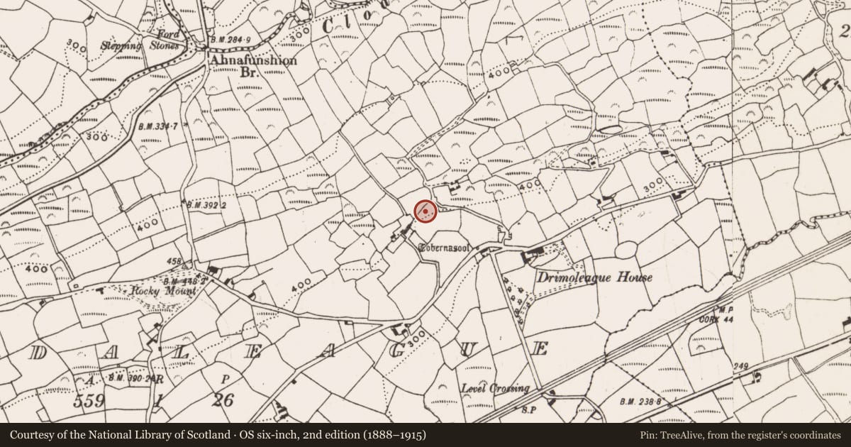 Ordnance Survey six-inch map, 2nd edition (1888–1915) covering the location of Standing stone, Dromdaleague, County Cork, with a pin at the register's coordinates