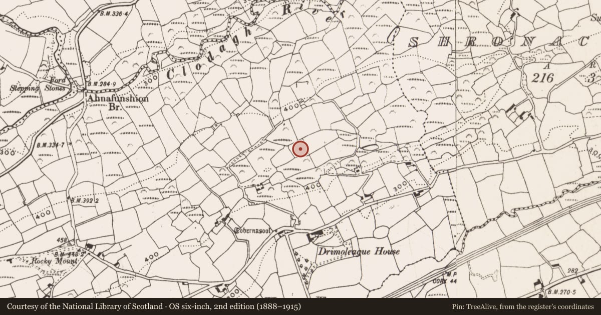 Ordnance Survey six-inch map, 2nd edition (1888–1915) covering the location of Enclosure, Dromdaleague, County Cork, with a pin at the register's coordinates