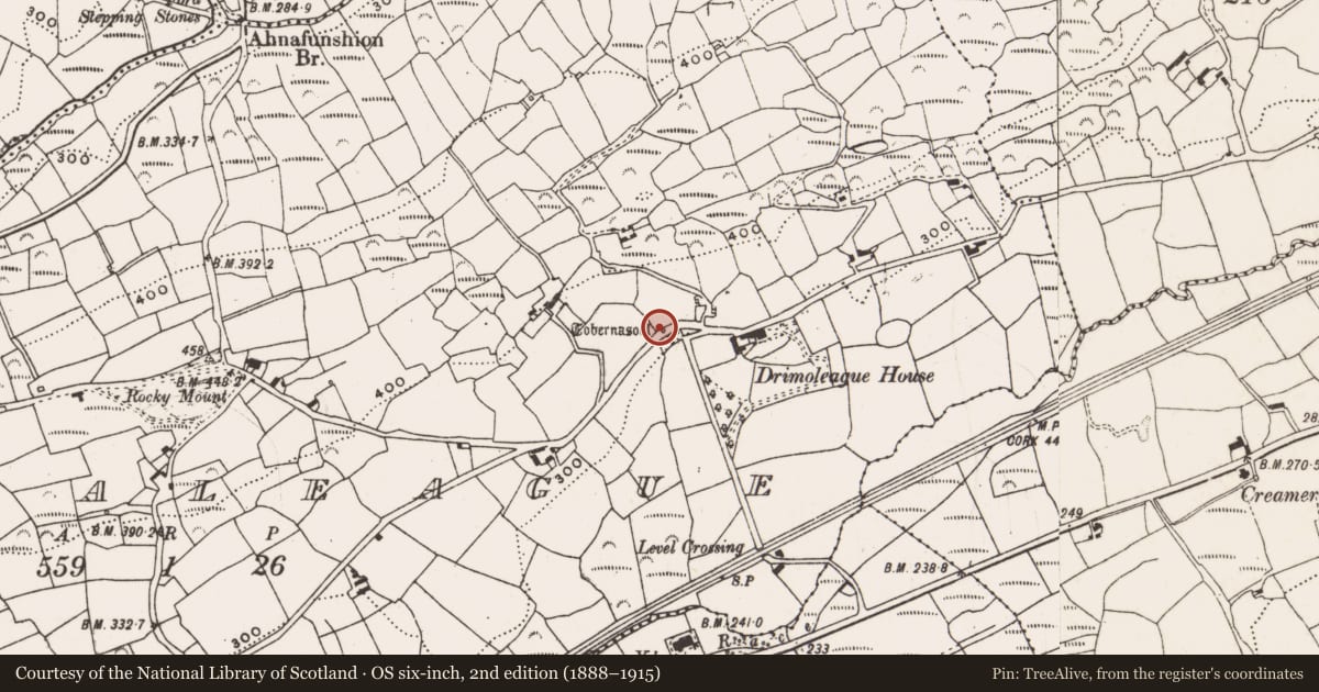 Ordnance Survey six-inch map, 2nd edition (1888–1915) covering the location of Ritual site - holy well, Dromdaleague, County Cork, with a pin at the register's coordinates