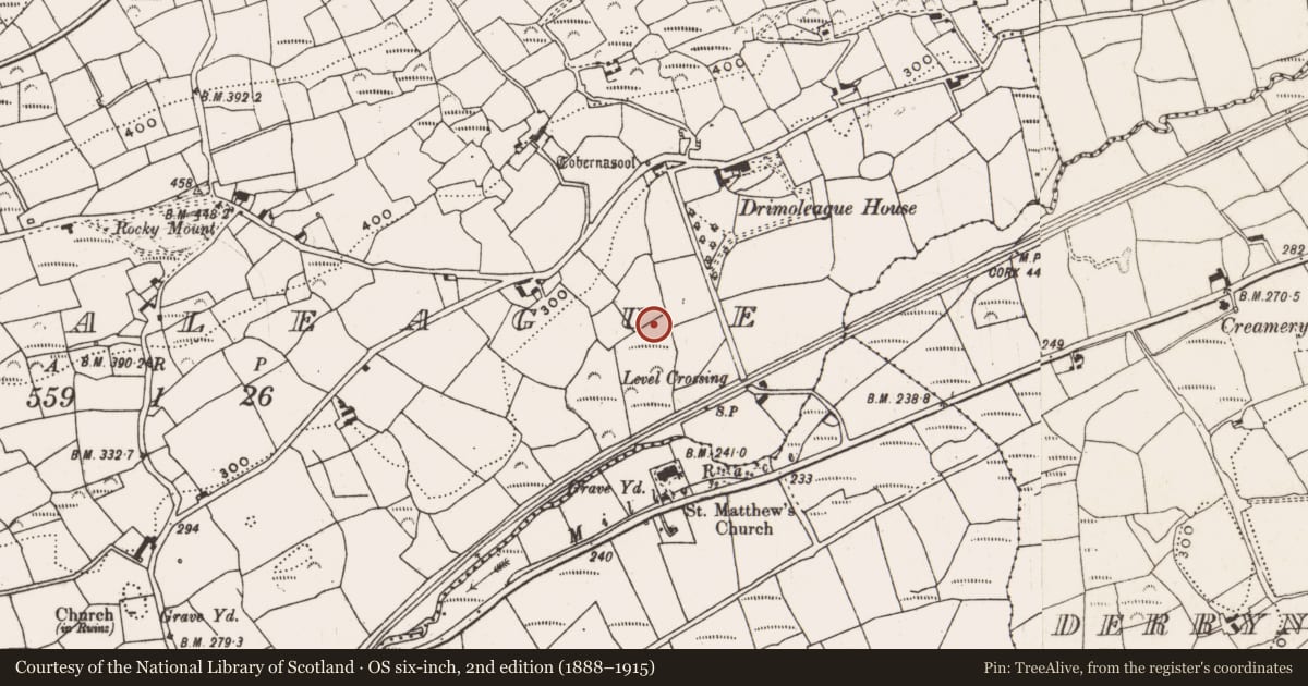 Ordnance Survey six-inch map, 2nd edition (1888–1915) covering the location of Fulacht fia, Dromdaleague, County Cork, with a pin at the register's coordinates