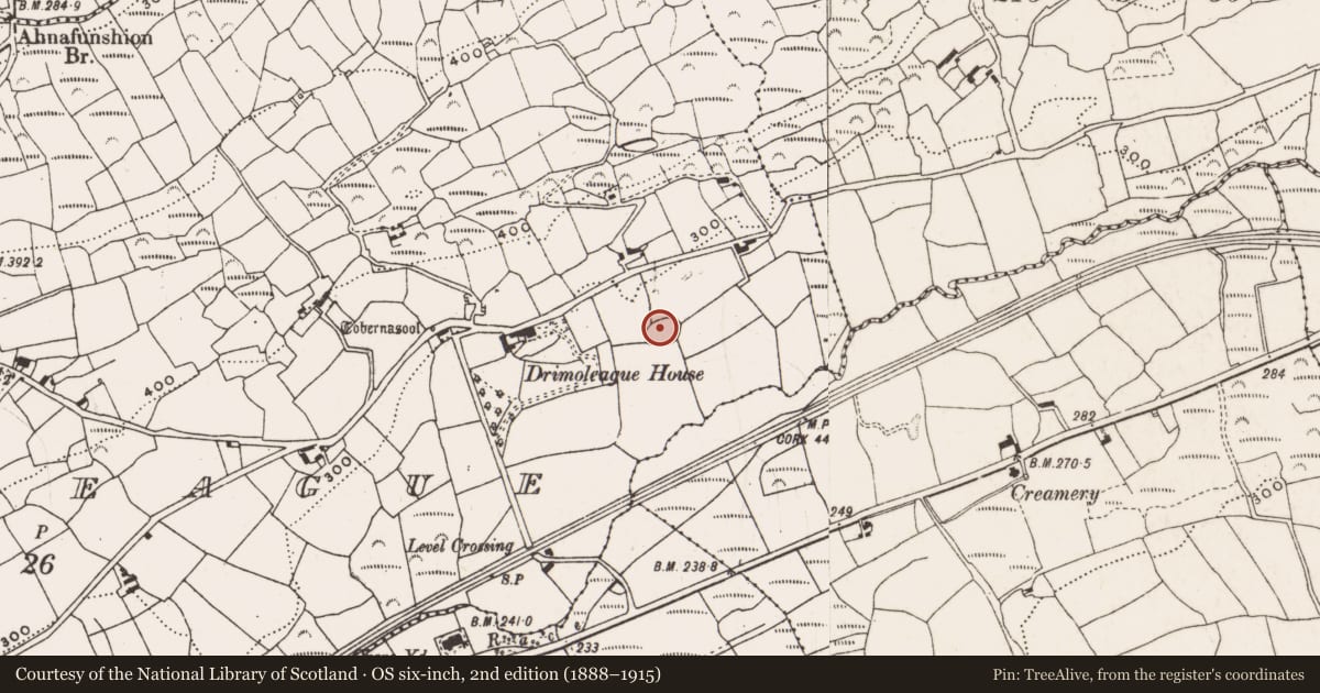 Ordnance Survey six-inch map, 2nd edition (1888–1915) covering the location of Ringfort - rath, Dromdaleague, County Cork, with a pin at the register's coordinates