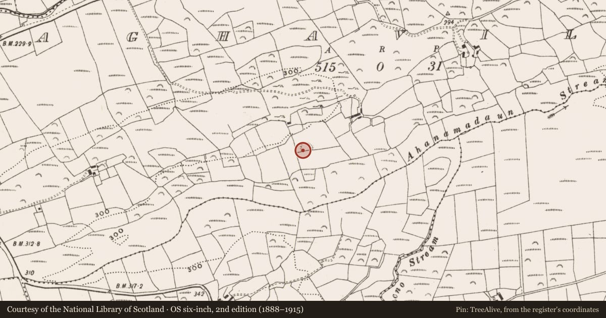 Ordnance Survey six-inch map, 2nd edition (1888–1915) covering the location of Ringfort - rath, Aghaville, County Cork, with a pin at the register's coordinates