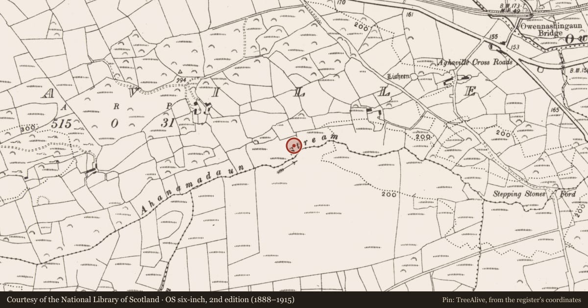 Ordnance Survey six-inch map, 2nd edition (1888–1915) covering the location of Fulacht fia, Aghaville, County Cork, with a pin at the register's coordinates