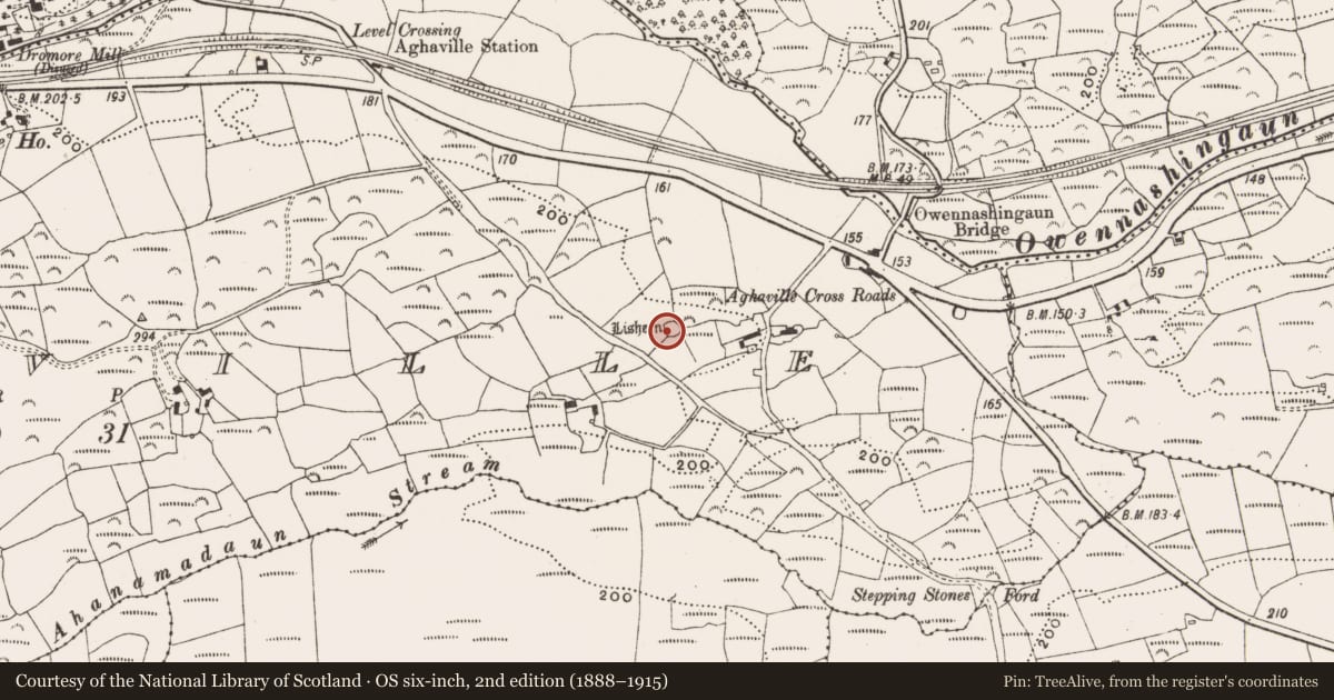 Ordnance Survey six-inch map, 2nd edition (1888–1915) covering the location of Ringfort - cashel, Aghaville, County Cork, with a pin at the register's coordinates