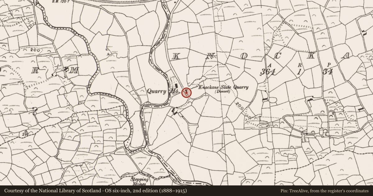 Ordnance Survey six-inch map, 2nd edition (1888–1915) covering the location of Ringfort - rath, Knockane, County Cork, with a pin at the register's coordinates