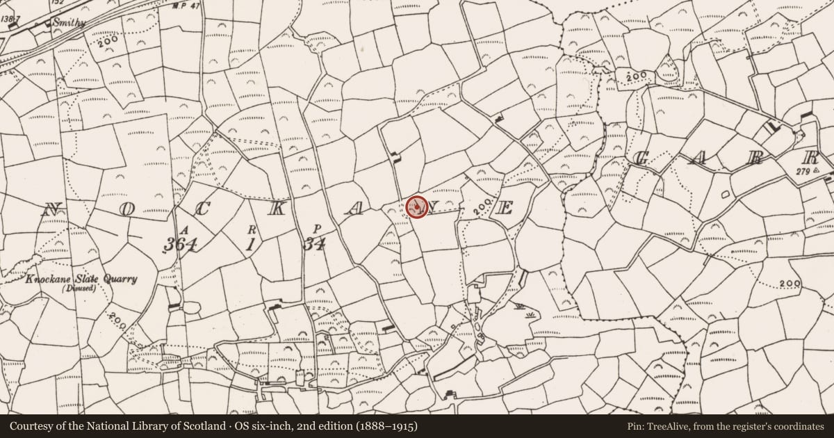 Ordnance Survey six-inch map, 2nd edition (1888–1915) covering the location of Fulacht fia, Knockane, County Cork, with a pin at the register's coordinates