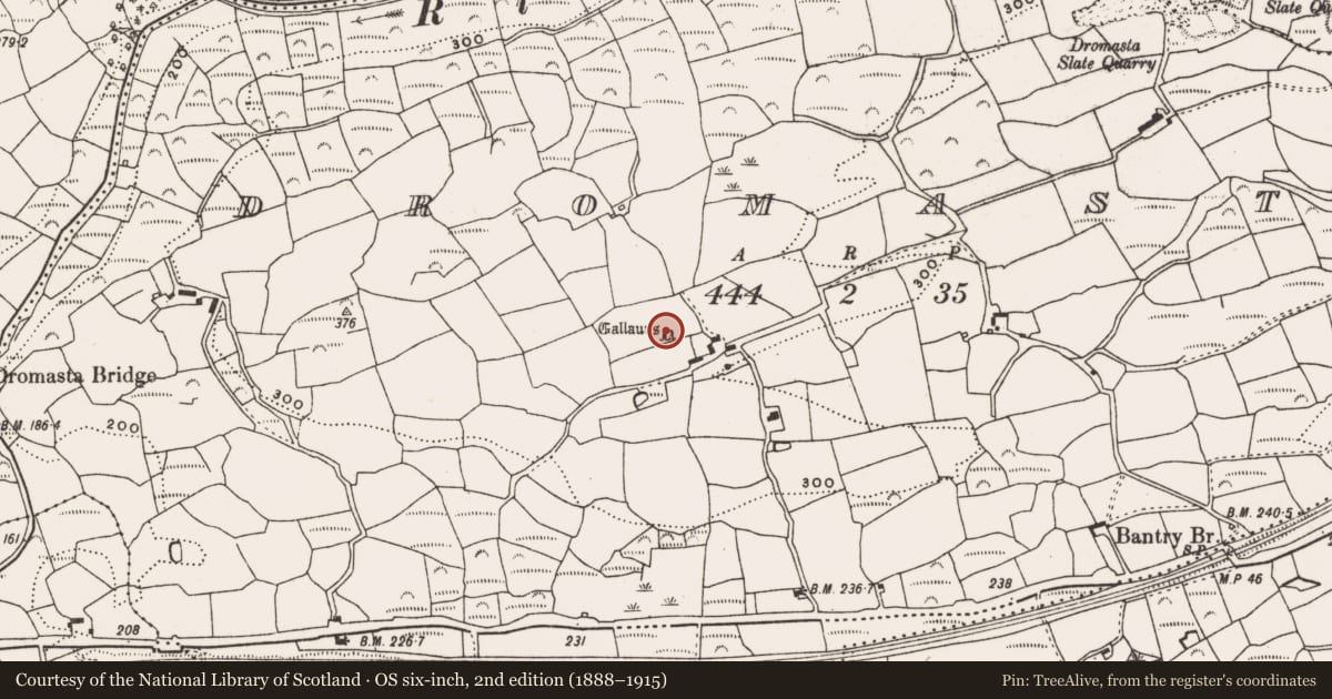 Ordnance Survey six-inch map, 2nd edition (1888–1915) covering the location of Standing stone - pair, Dromasta, County Cork, with a pin at the register's coordinates