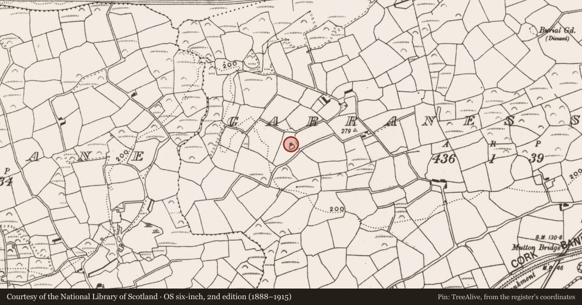 Ordnance Survey six-inch map, 2nd edition (1888–1915) covering the location of Ringfort - cashel, Garranes South, County Cork, with a pin at the register's coordinates