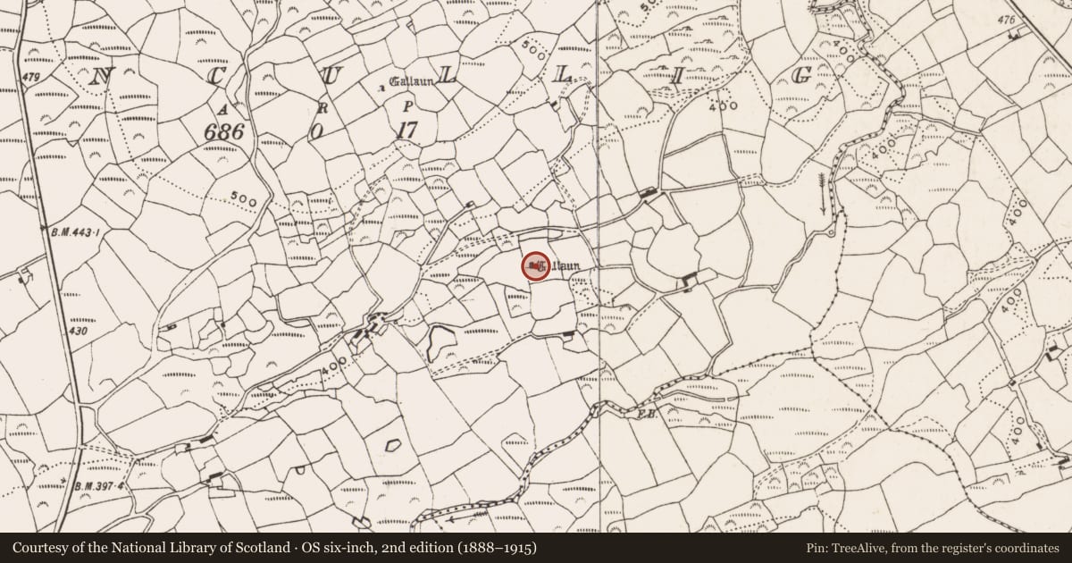 Ordnance Survey six-inch map, 2nd edition (1888–1915) covering the location of Standing stone, Ceancullig, County Cork, with a pin at the register's coordinates