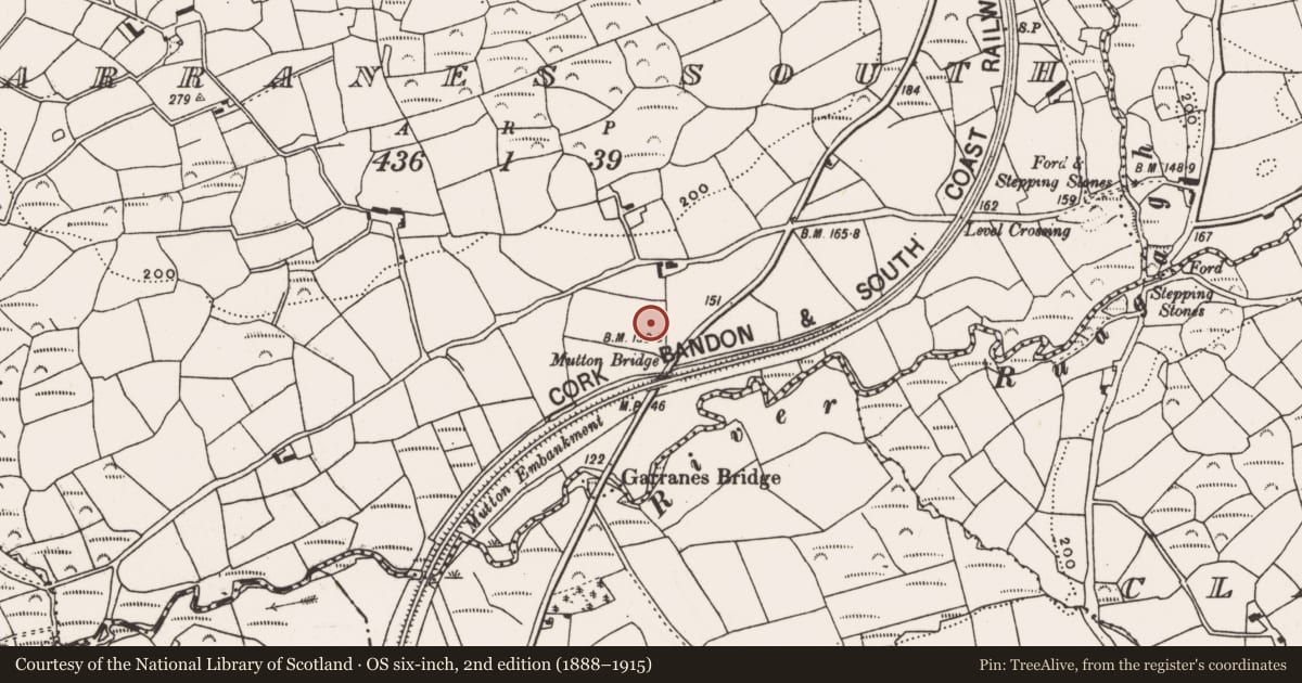 Ordnance Survey six-inch map, 2nd edition (1888–1915) covering the location of Standing stone, Garranes South, County Cork, with a pin at the register's coordinates