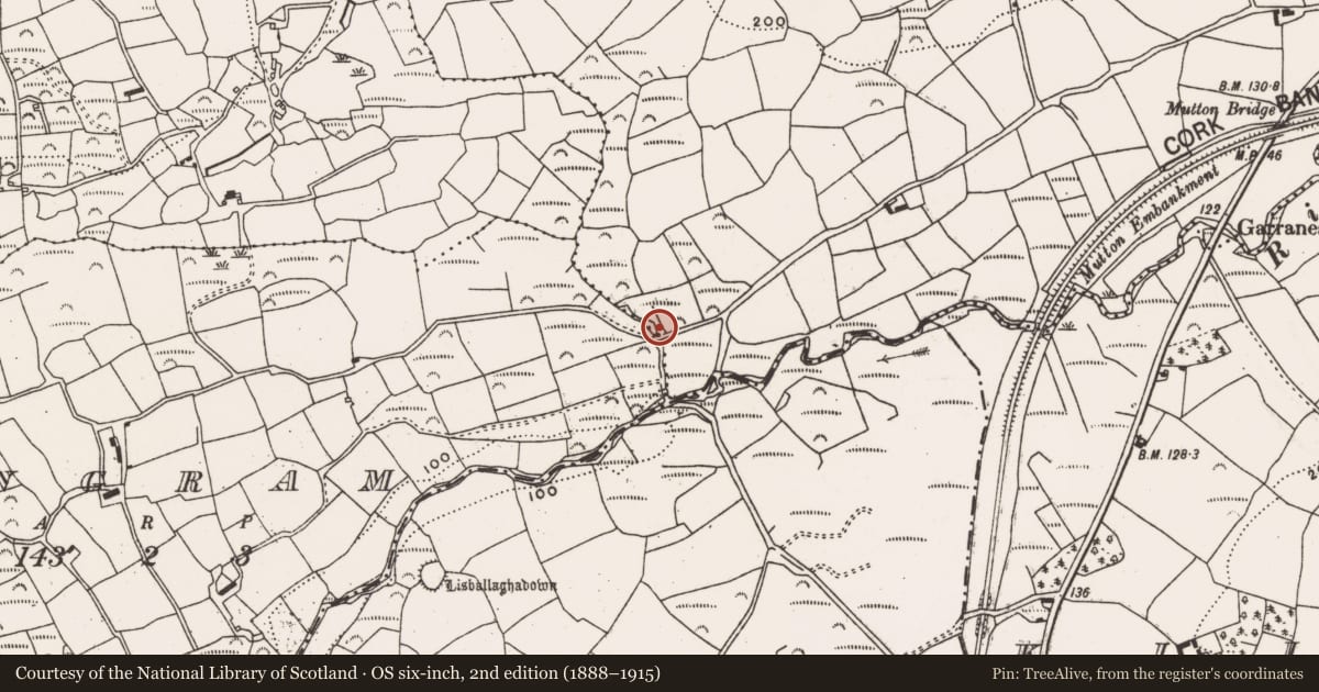 Ordnance Survey six-inch map, 2nd edition (1888–1915) covering the location of Fulacht fia, Garranes South, County Cork, with a pin at the register's coordinates