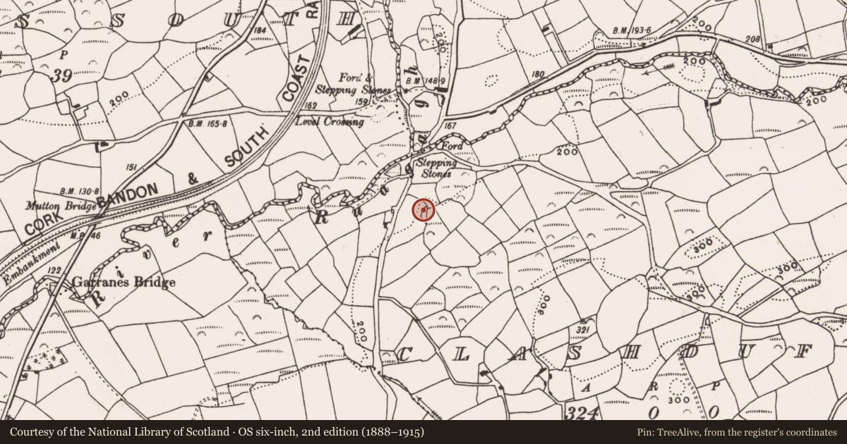 Ordnance Survey six-inch map, 2nd edition (1888–1915) covering the location of Enclosure, Clashduff, County Cork, with a pin at the register's coordinates