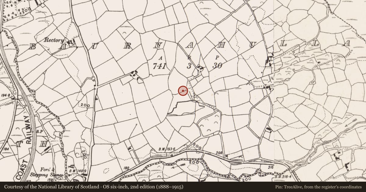 Ordnance Survey six-inch map, 2nd edition (1888–1915) covering the location of Fulacht fia, Baurnahulla, County Cork, with a pin at the register's coordinates