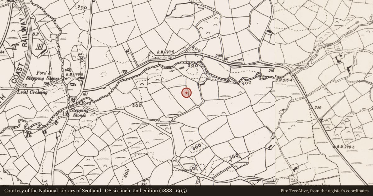 Ordnance Survey six-inch map, 2nd edition (1888–1915) covering the location of Burial ground, Clashduff, County Cork, with a pin at the register's coordinates