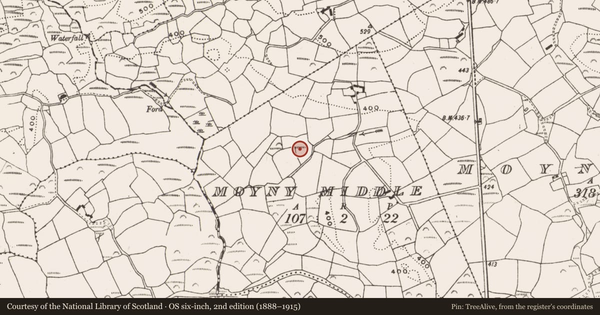 Ordnance Survey six-inch map, 2nd edition (1888–1915) covering the location of Souterrain, Moyny Middle, County Cork, with a pin at the register's coordinates