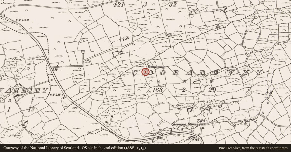 Ordnance Survey six-inch map, 2nd edition (1888–1915) covering the location of Souterrain, Cooradowny, County Cork, with a pin at the register's coordinates