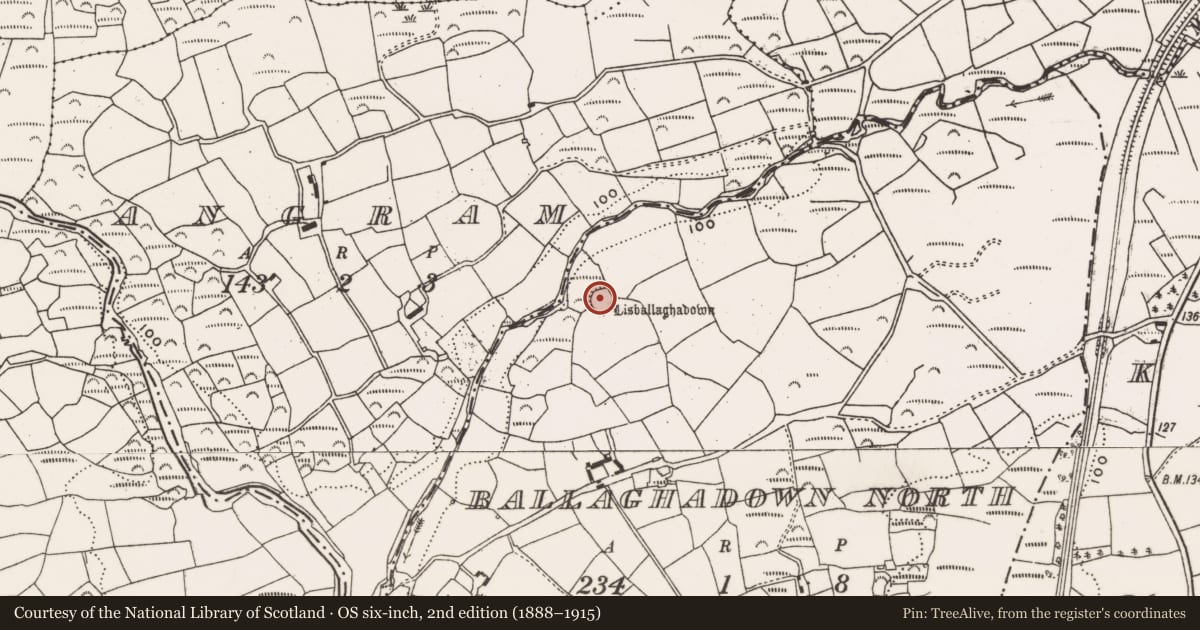 Ordnance Survey six-inch map, 2nd edition (1888–1915) covering the location of Souterrain, Ballaghadown North, County Cork, with a pin at the register's coordinates
