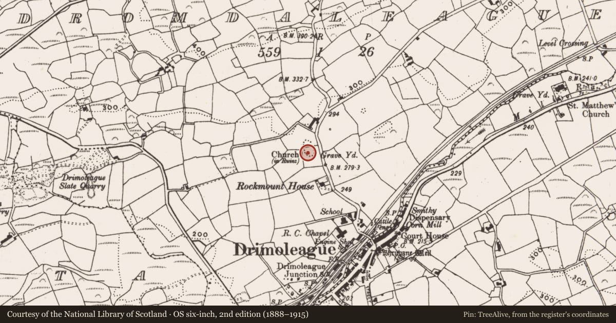 Ordnance Survey six-inch map, 2nd edition (1888–1915) covering the location of Church, Dromdaleague, County Cork, with a pin at the register's coordinates