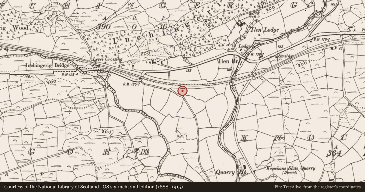 Ordnance Survey six-inch map, 2nd edition (1888–1915) covering the location of Souterrain, Inchingerig, County Cork, with a pin at the register's coordinates