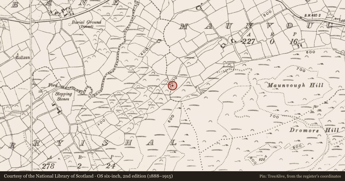 Ordnance Survey six-inch map, 2nd edition (1888–1915) covering the location of Standing stone, Maunvough, County Cork, with a pin at the register's coordinates
