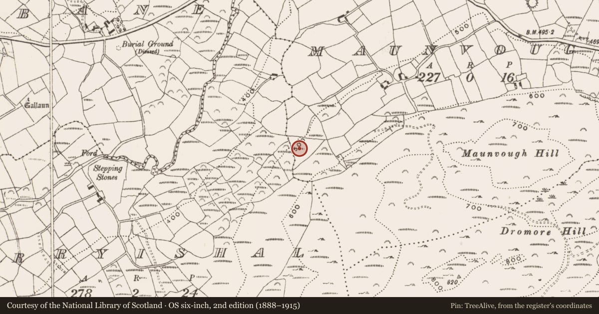 Ordnance Survey six-inch map, 2nd edition (1888–1915) covering the location of Children's burial ground, Maunvough, County Cork, with a pin at the register's coordinates