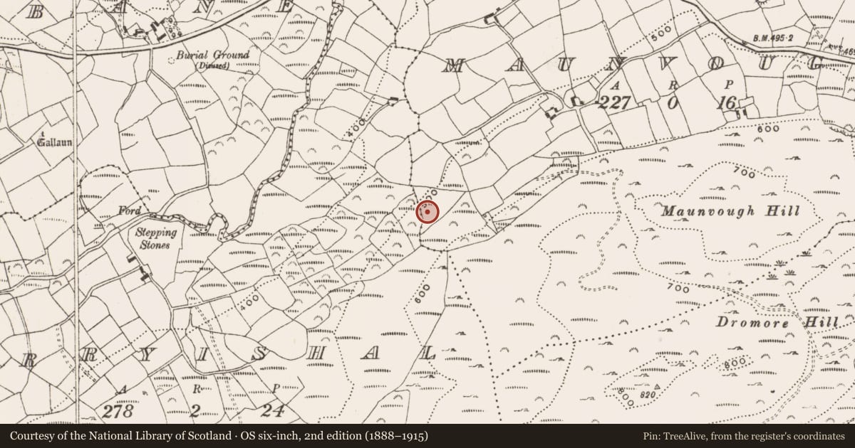Ordnance Survey six-inch map, 2nd edition (1888–1915) covering the location of Standing stone, Maunvough, County Cork, with a pin at the register's coordinates